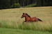 DSC_0062.JPG