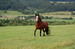 DSC_0093.JPG