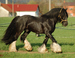 DSC_0512.jpg