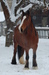 DSC_1140.JPG