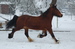 DSC_1146.JPG