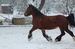 DSC_1148.JPG