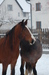DSC_1217.JPG