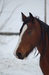 DSC_1256.JPG