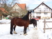 P1010099.JPG